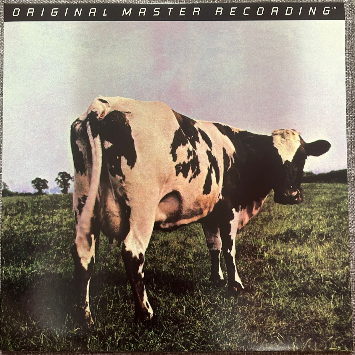 Pink Floyd, Atom Heart Mother (MFSL ANADISQ 200™ LP) MFSL1-202