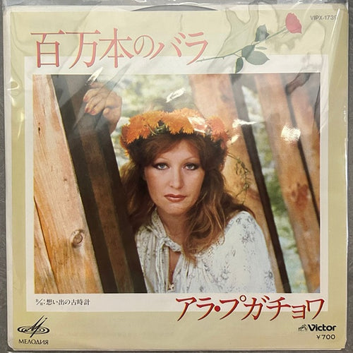 Alla Pugacheva, 百万本のバラ (Миллион Роз) / 想い出の古時計 (Старинные Часы) (Japan 1st press promo 見本盤 white label 7") VIPX-1739